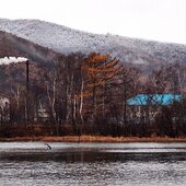 Ноябрь в Сихотэ-Алинском заповеднике – предзимье