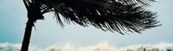 У побережья Мексики сформировался первый в этом году тропический шторм