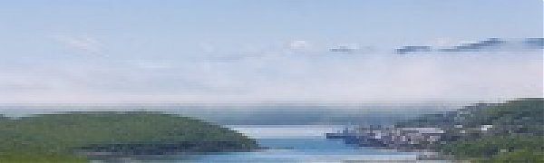 PaperDay-Спаси дерево!