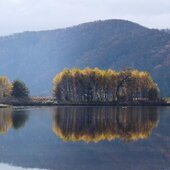 Октябрь в Сихотэ-Алинском заповеднике – празднество золотой осени