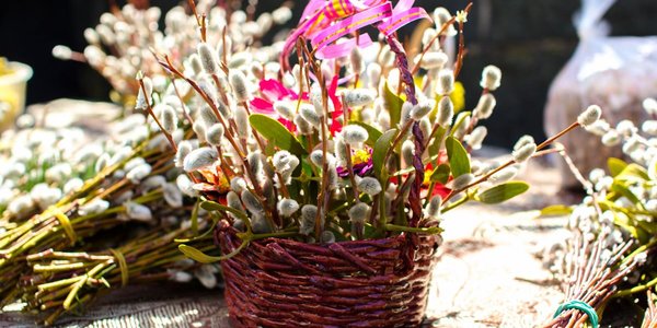 Весеннее тепло пришло в Приморье