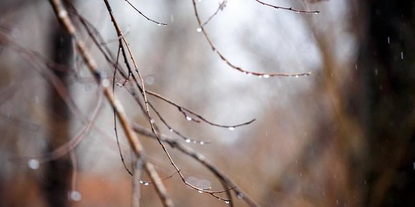 Завтра погода в Приморье ухудшится