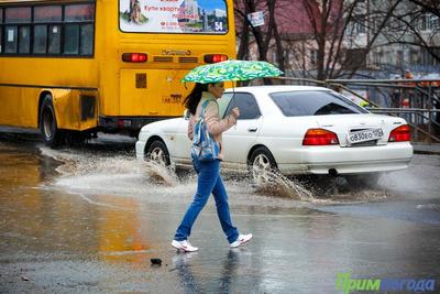 В середине недели в Приморье пройдут дожди, местами сильные