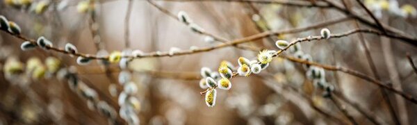 Капризная весенняя погода пришла в Приморье