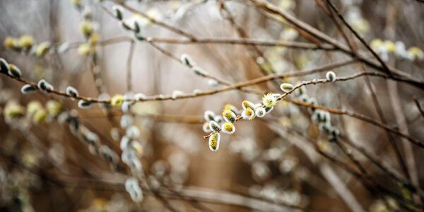Капризная весенняя погода пришла в Приморье