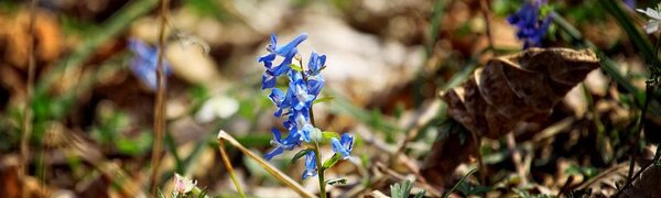 На следующей неделе температуры в Приморье придут в климатические рамки