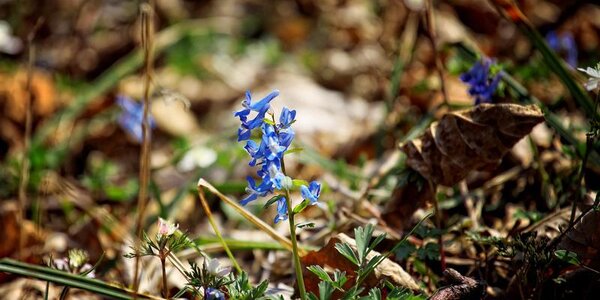 На следующей неделе температуры в Приморье придут в климатические рамки