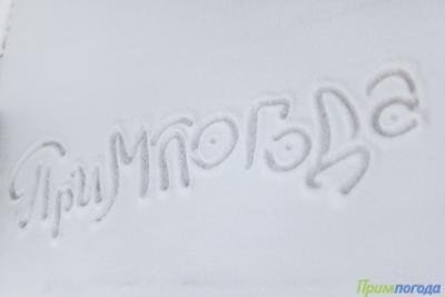 Настоящее волшебство: во Владивостоке выпадет снег перед Новым годом