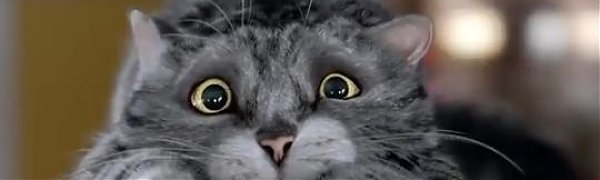 Рождественская реклама с котом стала хитом Интернета (ВИДЕО)