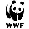 WWF создал свой формат документов
