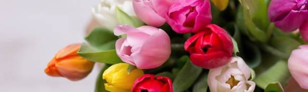 Приморцев ждёт короткая рабочая неделя и три выходных