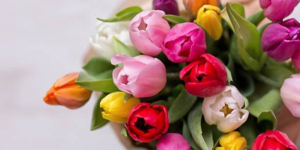 Приморцев ждёт короткая рабочая неделя и три выходных