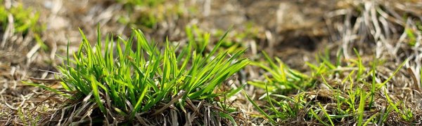 Начало недели в Приморье будет тёплым