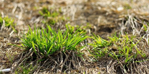 Начало недели в Приморье будет тёплым