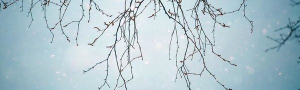 Первые зимние выходные Приморье встретит небольшим потеплением и снегом