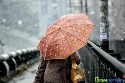 Дожди, мокрый снег и метели накроют Приморье на следующей неделе