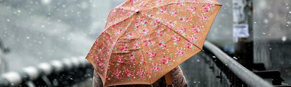 Дожди, мокрый снег и метели накроют Приморье на следующей неделе