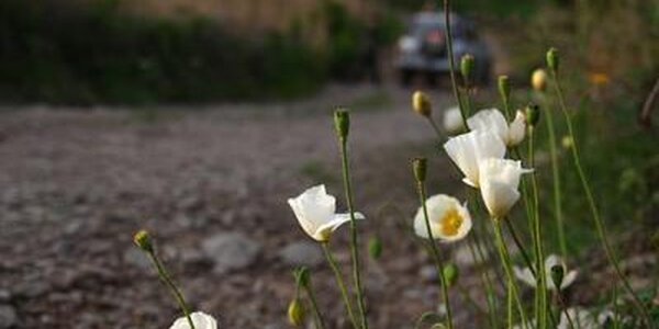 Июль в Приморье начался с дождей с грозами