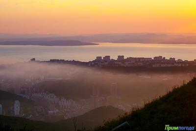 Чем дышал Владивосток с 21 по 31 июля?