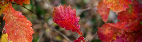 Стал известен точный прогноз погоды на последние дни октября в Приморье