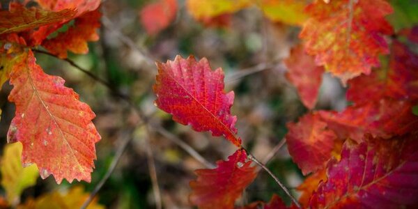 Стал известен точный прогноз погоды на последние дни октября в Приморье