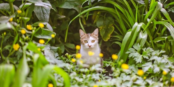 В выходные дни характер погоды в Приморье не изменится