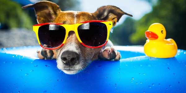 Ставки на погоду: остался 1 день!