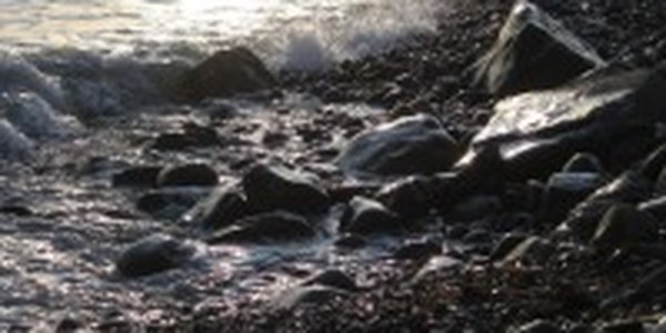 Какой будет погода в выходные дни?