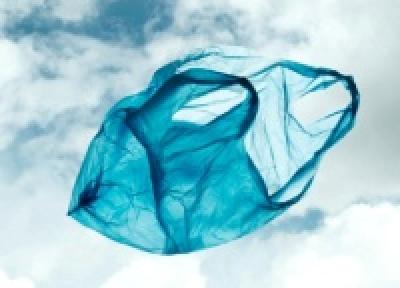 За пластиковые пакеты будут сажать