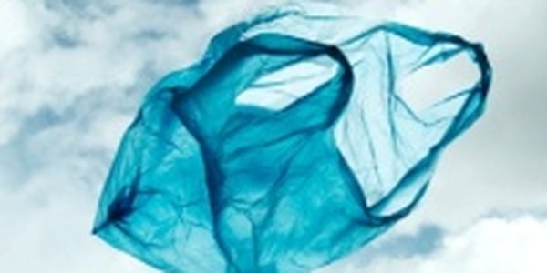 За пластиковые пакеты будут сажать