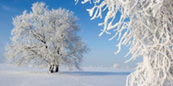 В ближайшие сутки в Приморье ожидается снегопад