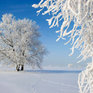 В ближайшие сутки в Приморье ожидается снегопад