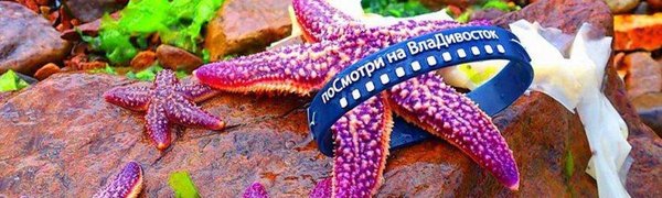 LookAtVladivostok.ART: сегодня – ваш шанс, а завтра – выбор жюри