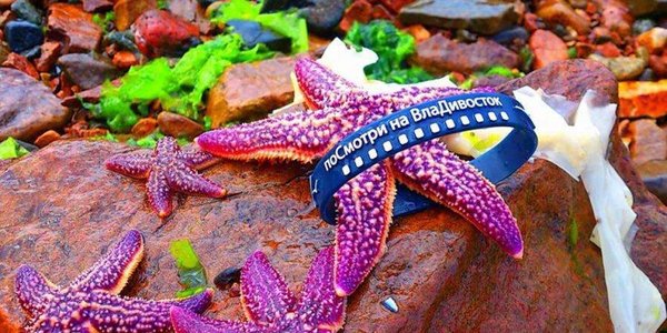 LookAtVladivostok.ART: сегодня – ваш шанс, а завтра – выбор жюри