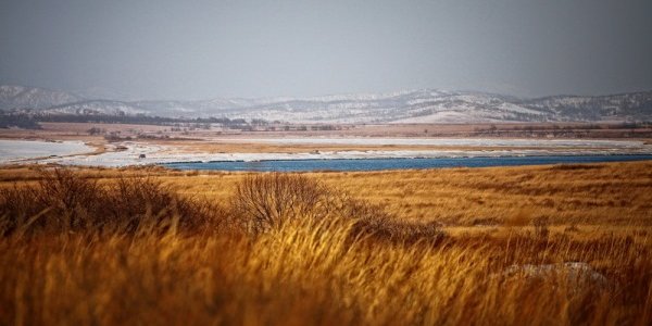 Незначительное понижение температуры в Приморье продлится до конца рабочей недели