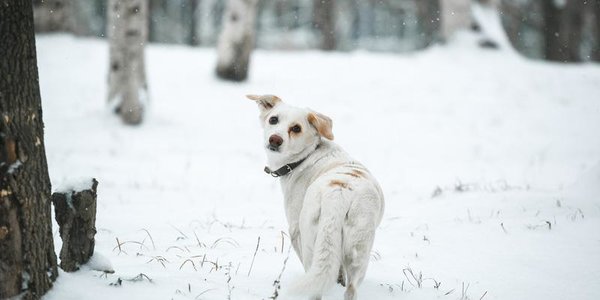 В Приморье сохранится неустойчивый характер погоды