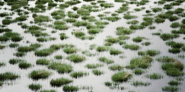 Новая волна паводка охватила Приморье