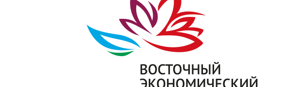 Заработал погодный сайт для Восточного экономического форума