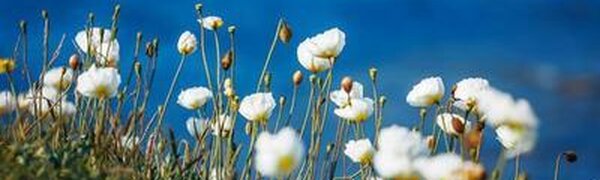 Столбики термометров в Приморье уверенно ползут вверх: до +31°С по краю, до +23°С на побережье 