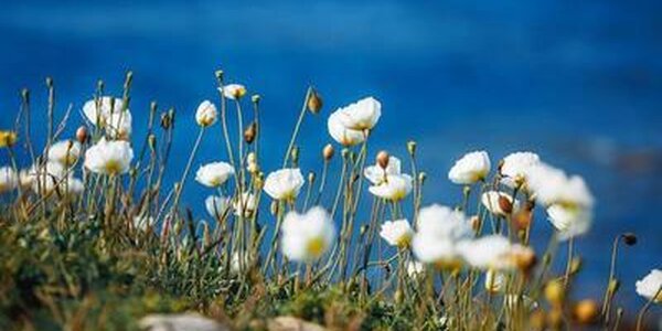 Столбики термометров в Приморье уверенно ползут вверх: до +31°С по краю, до +23°С на побережье 