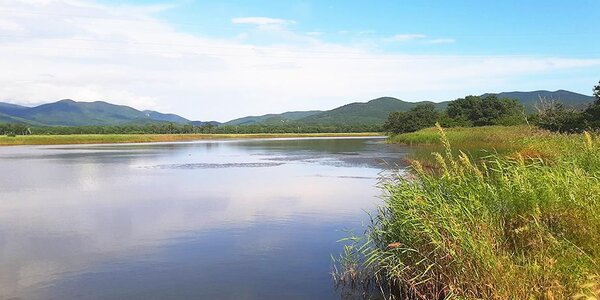 На реках Приморья стабильная ситуация
