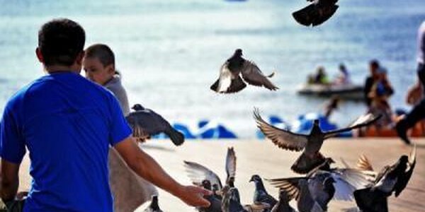 Воздух во Владивостоке прогреется до + 22°С во вторник