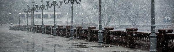 Снег с дождём ожидает жителей Владивостока в пятницу, 11 ноября