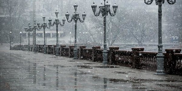 Снег с дождём ожидает жителей Владивостока в пятницу, 11 ноября