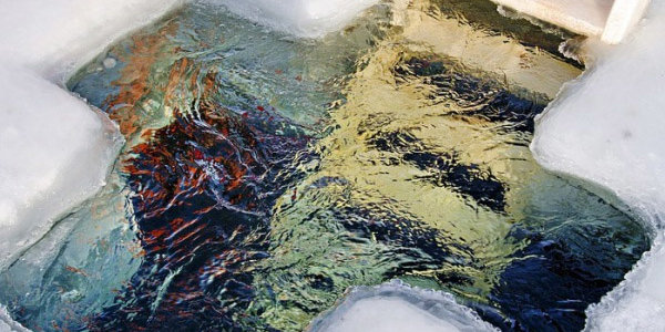 Празднование Крещения во Владивостоке пройдёт на набережной Спортивной гавани