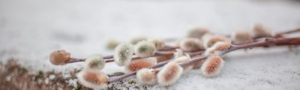 Завтра во Владивостоке днем возможен слабый снег