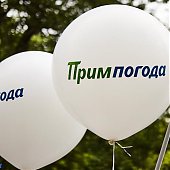 Владивосток отпраздновал День города с Примпогодой