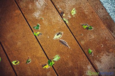 5 и 6 сентября в Приморье пройдут небольшие и умеренные дожди