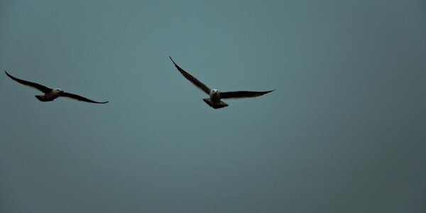 Неустойчивая погода ожидается в Приморье на рабочей неделе