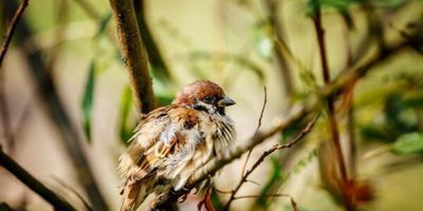 Синоптики рассказали о погоде в Приморье на выходных